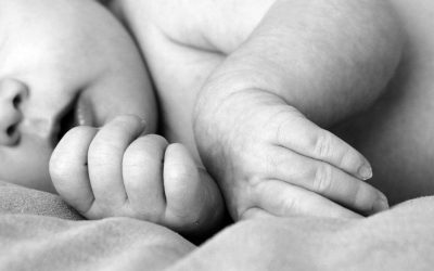 Pieles atópicas y dermatitis